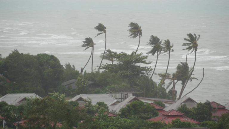 Hurricane Preparedness Tax Holiday in Florida Continues as Tropical Storm Idalia Looms
