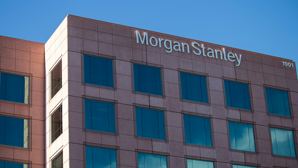 Morgan Stanley Recommends Quality Defensive Stocks for Investors